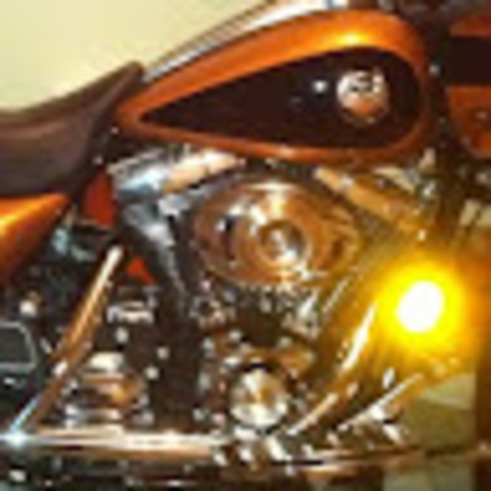 Meet your Posher, Steven